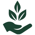 Sustainable growth representation icon