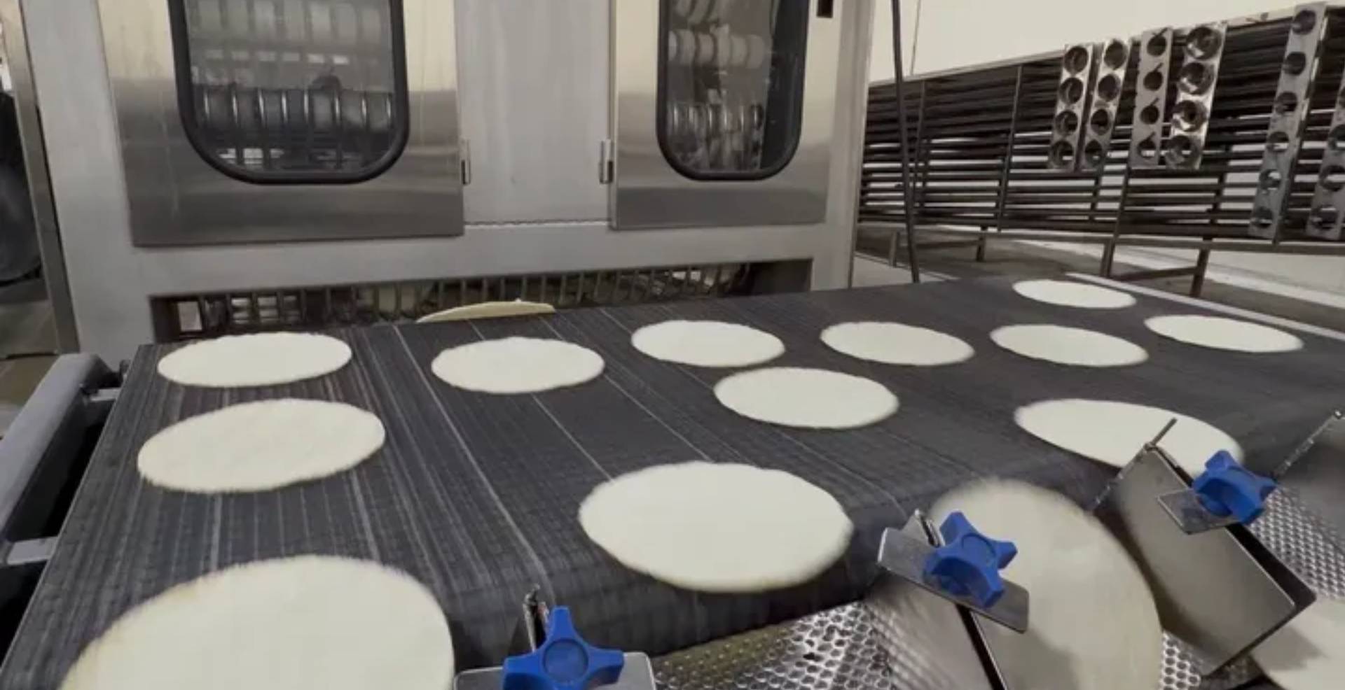 Tortilla rounds on industrial conveyor belt